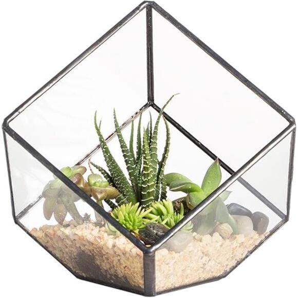 NCYP 3.93 Inches Geometric Glass Terrarium, Small Inclined Cube Clear - Picture 7 of 7
